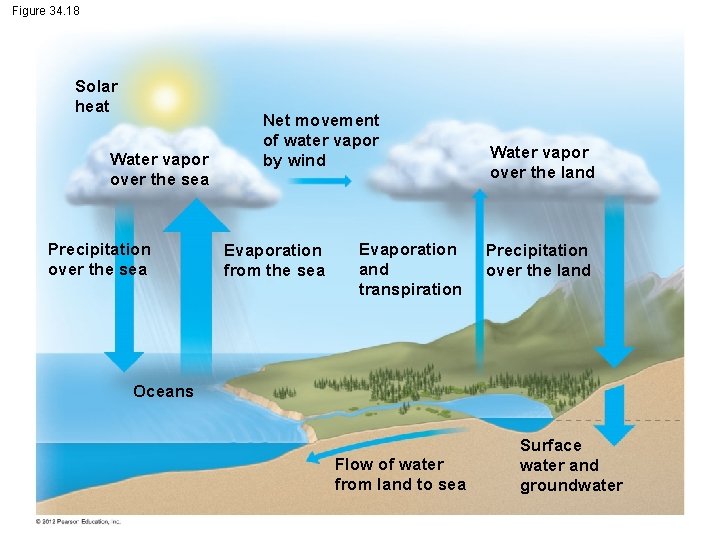 Figure 34. 18 Solar heat Water vapor over the sea Precipitation over the sea