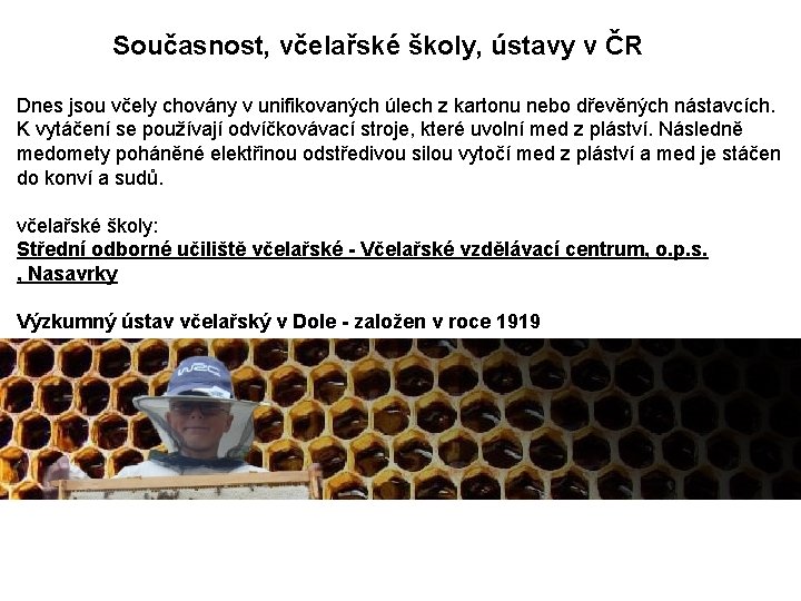  Současnost, včelařské školy, ústavy v ČR Dnes jsou včely chovány v unifikovaných úlech