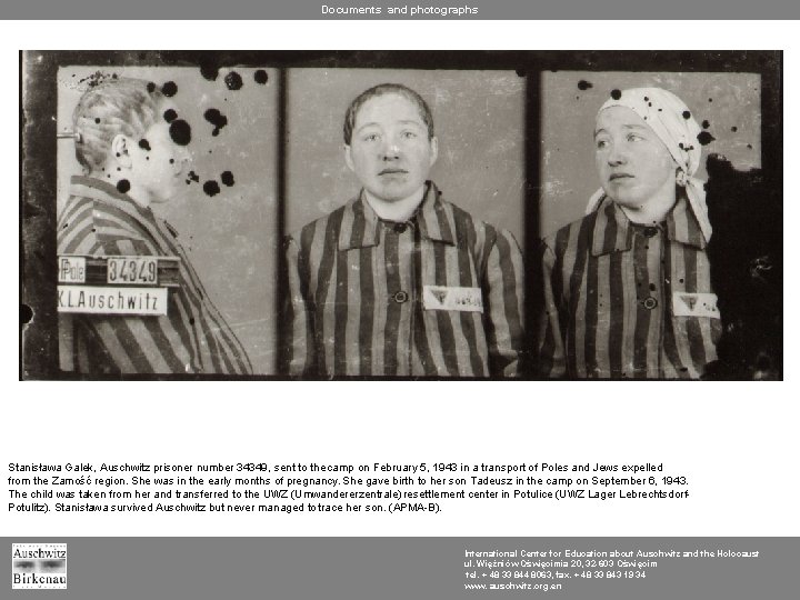 Documents and photographs Stanisława Galek, Auschwitz prisoner number 34349, sent to the camp on