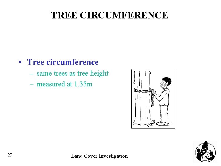 TREE CIRCUMFERENCE • Tree circumference – same trees as tree height – measured at