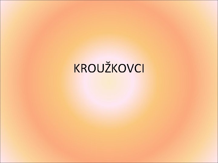 KROUŽKOVCI 