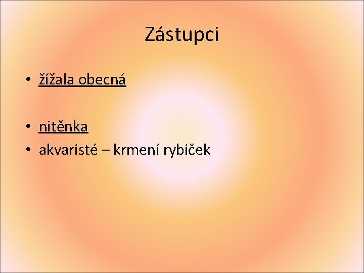 Zástupci • žížala obecná • nitěnka • akvaristé – krmení rybiček 