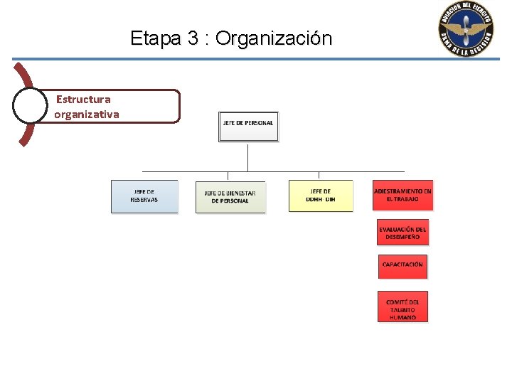 Etapa 3 : Organización Estructura organizativa 