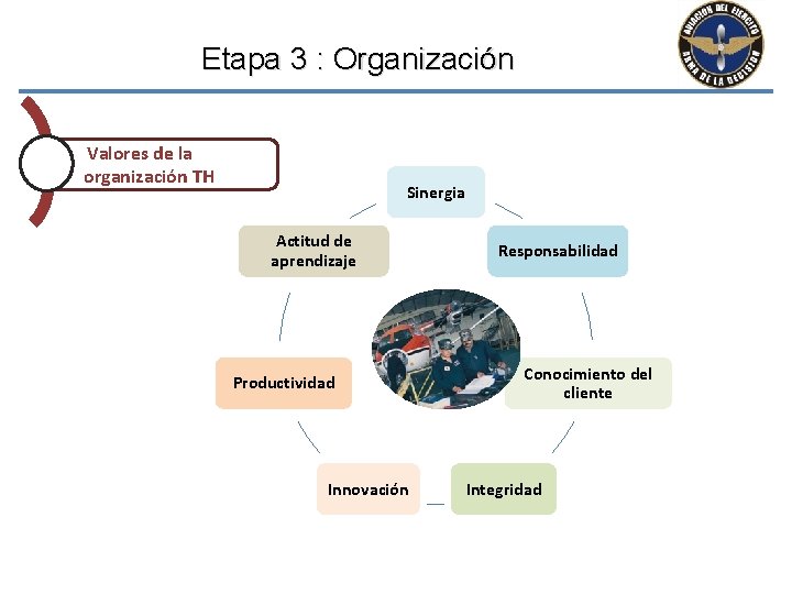 Etapa 3 : Organización Valores de la organización TH Sinergia Actitud de aprendizaje Productividad