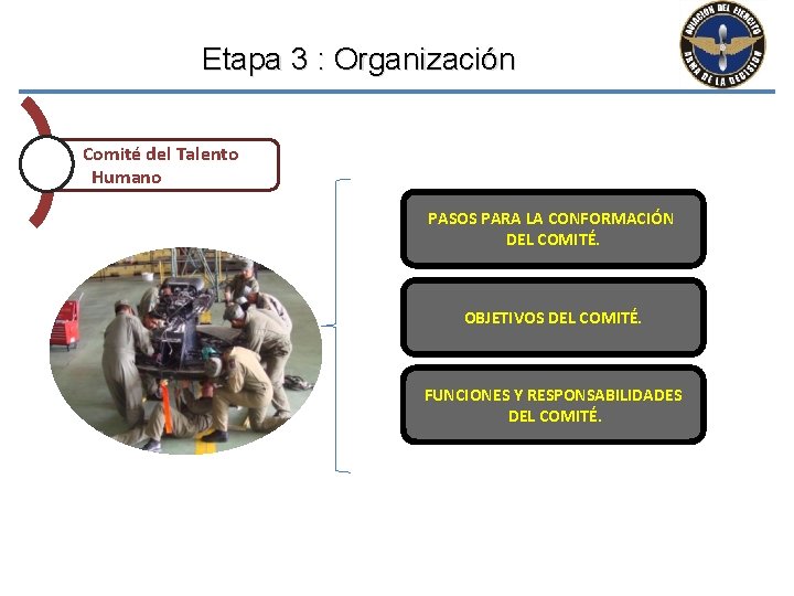 Etapa 3 : Organización Comité del Talento Humano PASOS PARA LA CONFORMACIÓN DEL COMITÉ.