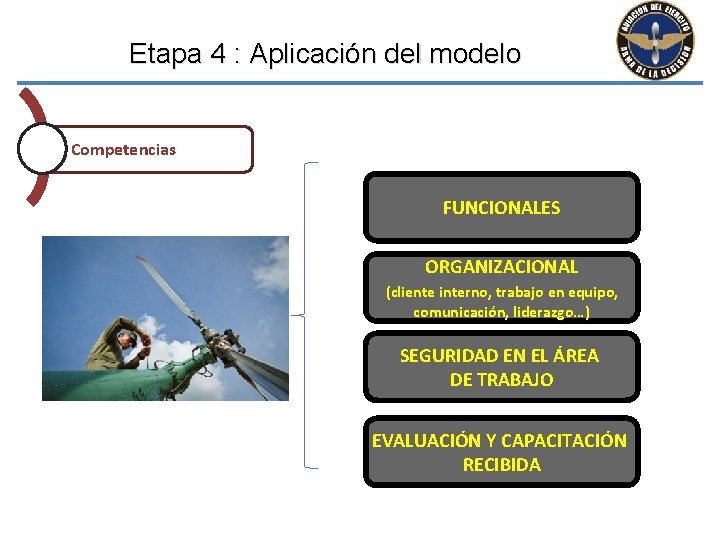 Etapa 4 : Aplicación del modelo Competencias FUNCIONALES ORGANIZACIONAL (cliente interno, trabajo en equipo,