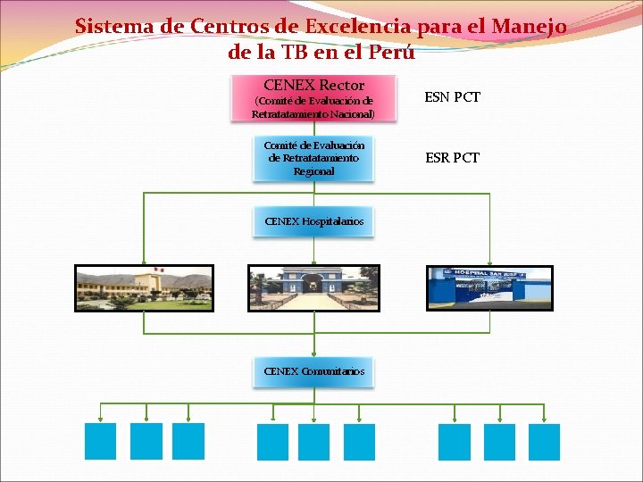 Sistema de Centros de Excelencia para el Manejo de la TB en el Perú