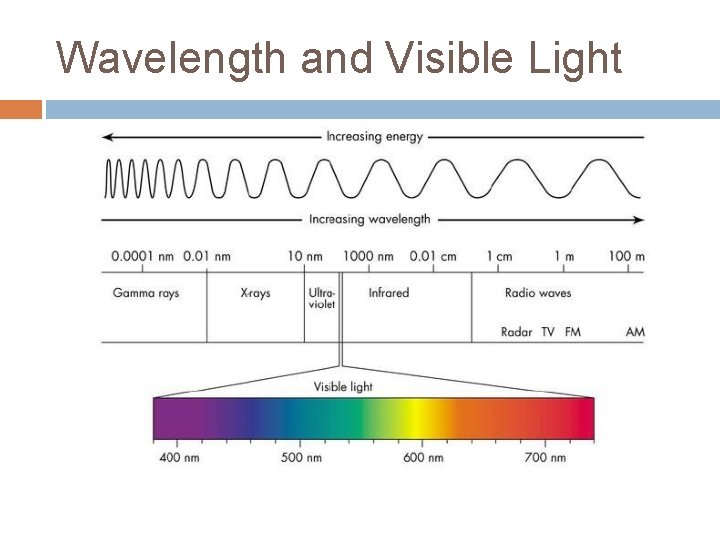 Wavelength and Visible Light Wavelength and Visible Light