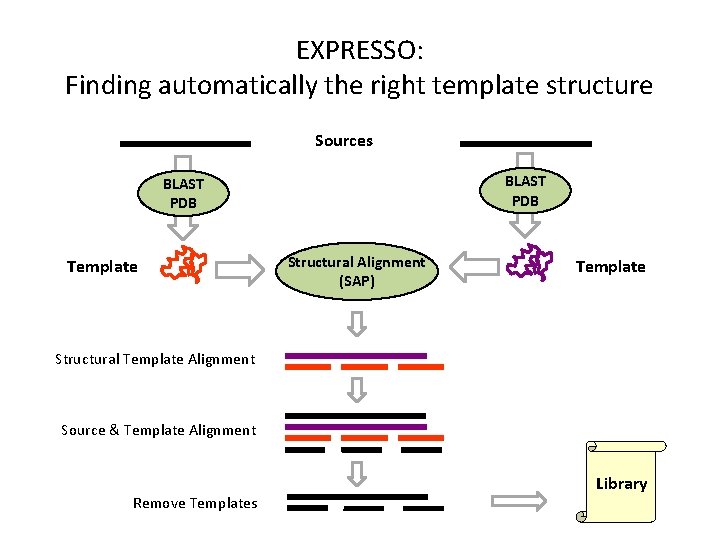 EXPRESSO: Finding automatically the right template structure Sources BLAST PDB Template Structural Alignment (SAP)