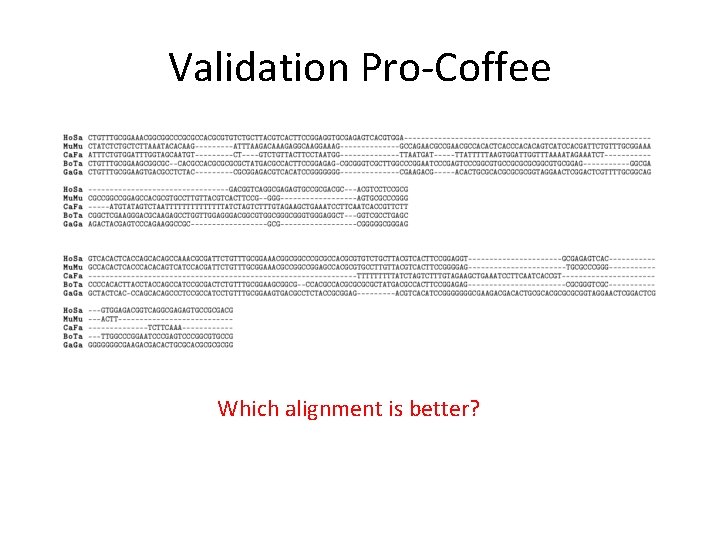 Validation Pro-Coffee Which alignment is better? 