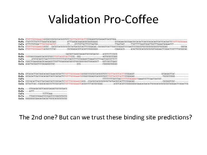 Validation Pro-Coffee The 2 nd one? But can we trust these binding site predictions?