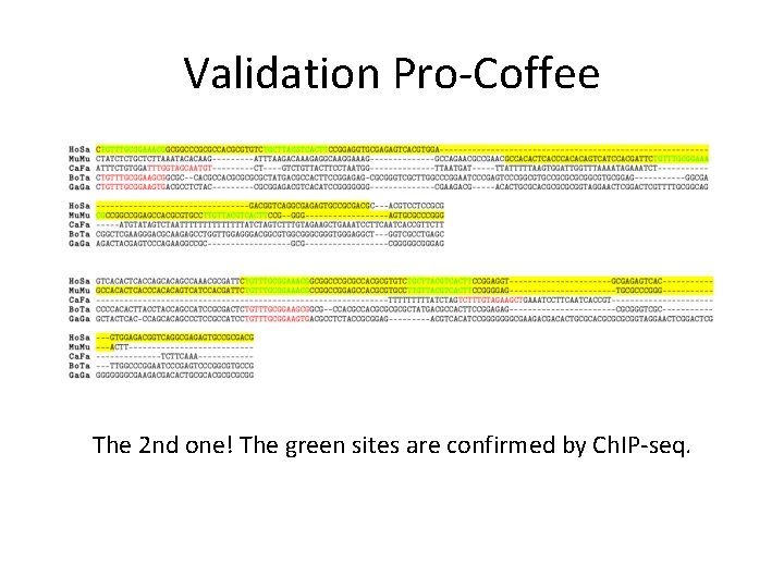 Validation Pro-Coffee The 2 nd one! The green sites are confirmed by Ch. IP-seq.