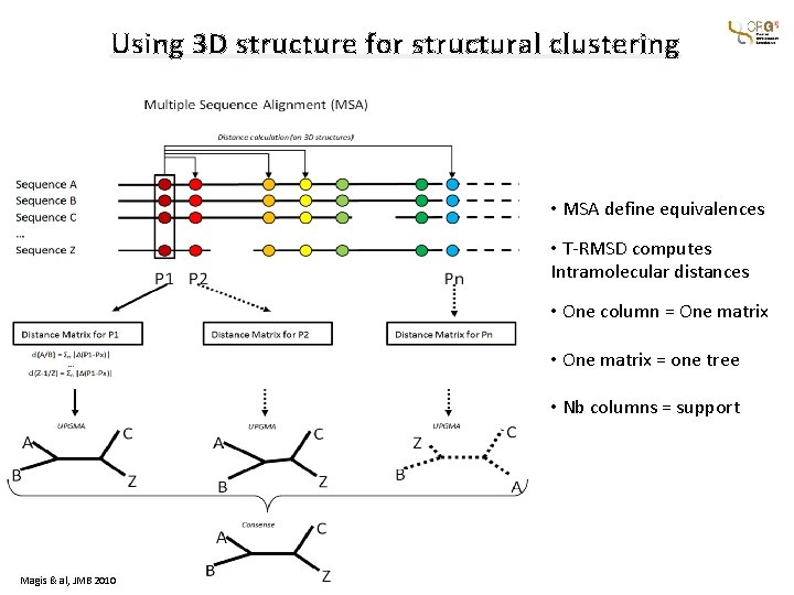 Using 3 D structure for structural clustering • MSA define equivalences • T-RMSD computes