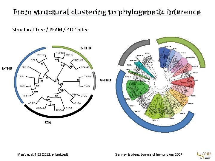 From structural clustering to phylogenetic inference Structural Tree / PFAM / 3 D-Coffee Magis