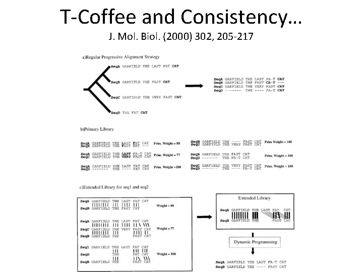 T-Coffee and Consistency… J. Mol. Biol. (2000) 302, 205 -217 