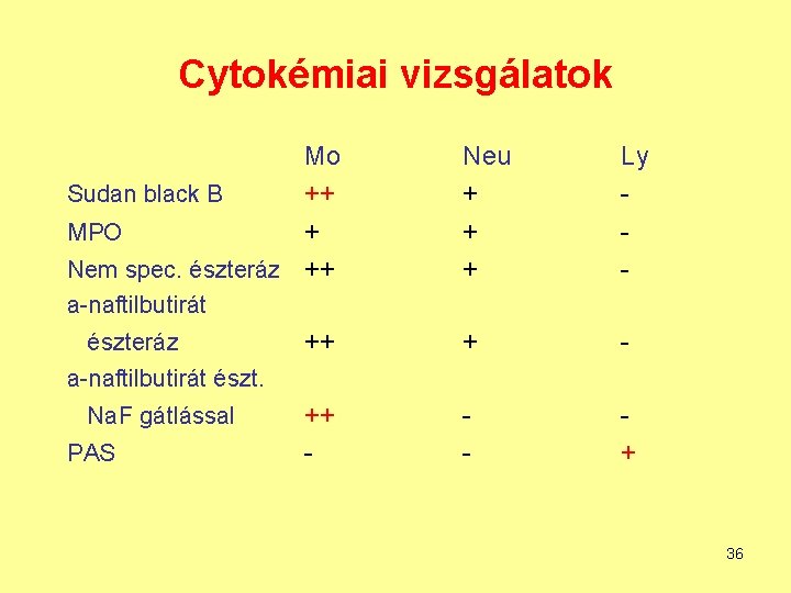 Cytokémiai vizsgálatok Mo Sudan black B ++ MPO + Nem spec. észteráz ++ Neu