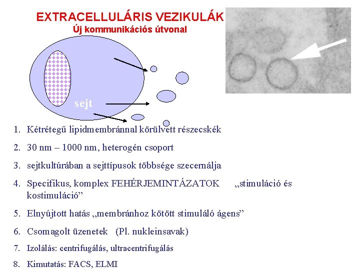 EXTRACELLULÁRIS VEZIKULÁK Új kommunikációs útvonal sejt CELL 1. Kétrétegű lipidmembránnal körülvett részecskék 2. 30