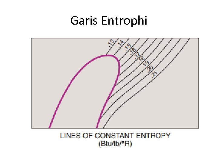 Garis Entrophi 