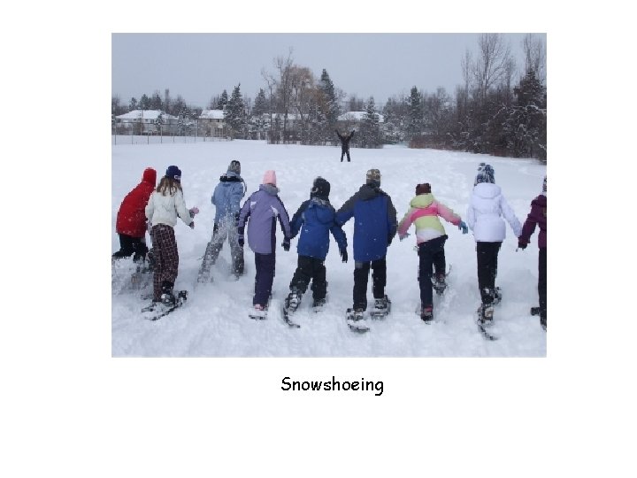 Snowshoeing 