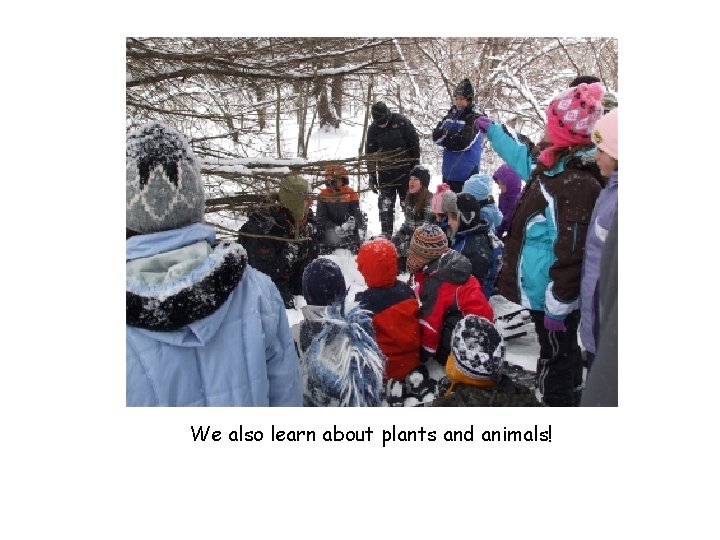 We also learn about plants and animals! 