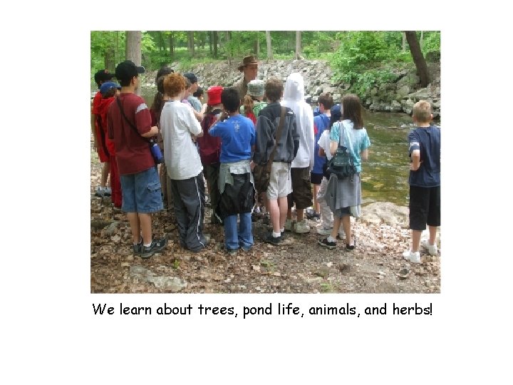 We learn about trees, pond life, animals, and herbs! 