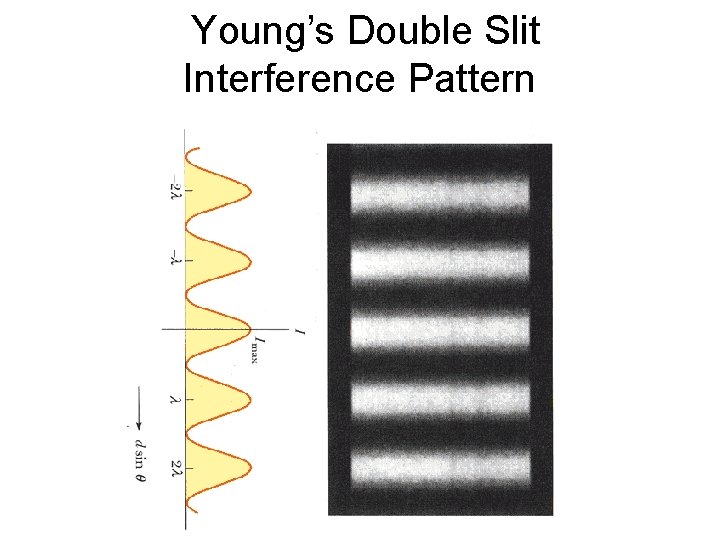 Young’s Double Slit Interference Pattern 