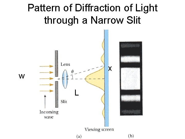 Pattern of Diffraction of Light through a Narrow Slit x w L 