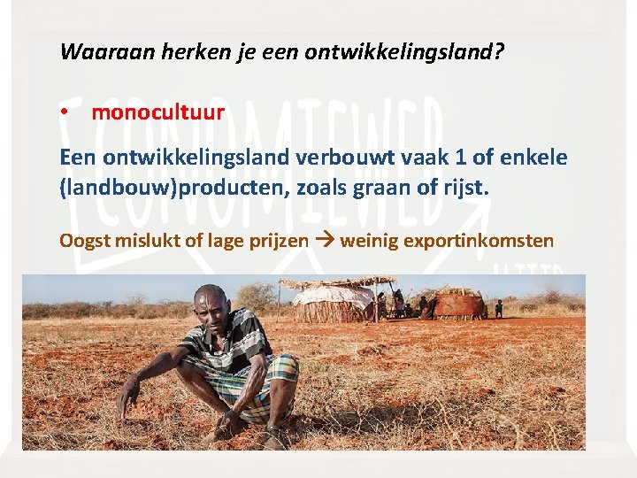 Waaraan herken je een ontwikkelingsland? • monocultuur Een ontwikkelingsland verbouwt vaak 1 of enkele