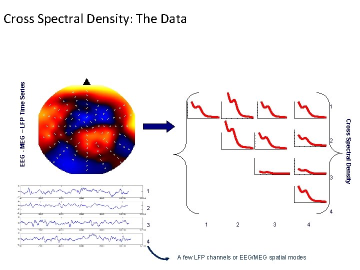 EEG - MEG – LFP Time Series Cross Spectral Density: The Data 1 3 EEG - MEG – LFP Time Series Cross Spectral Density: The Data 1 3