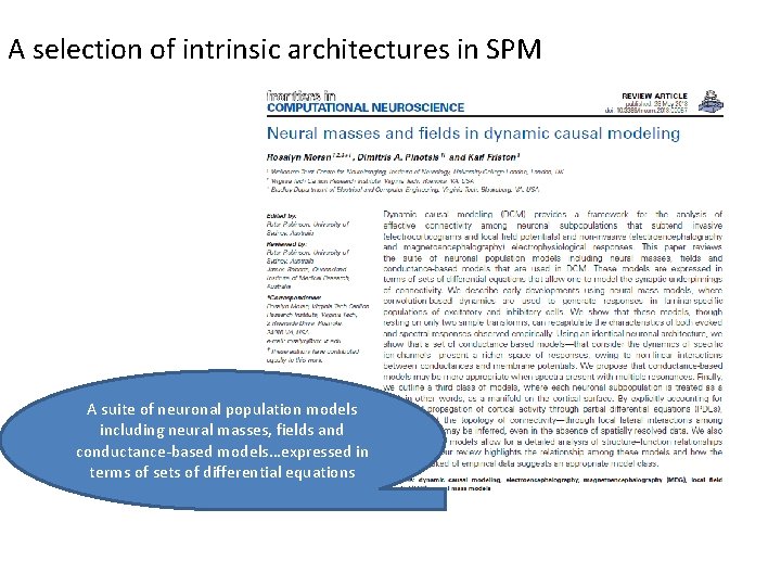 A selection of intrinsic architectures in SPM A suite of neuronal population models including A selection of intrinsic architectures in SPM A suite of neuronal population models including