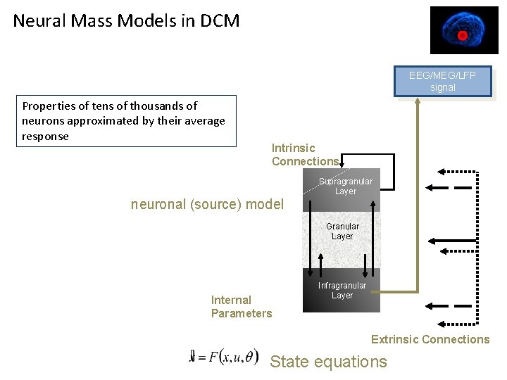Neural Mass Models in DCM EEG/MEG/LFP signal Properties of tens of thousands of neurons Neural Mass Models in DCM EEG/MEG/LFP signal Properties of tens of thousands of neurons