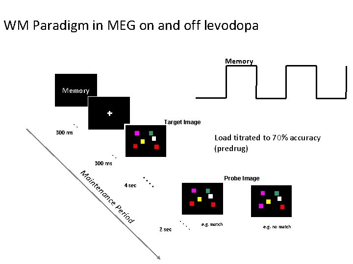 WM Paradigm in MEG on and off levodopa Memory . . Target Image 300 WM Paradigm in MEG on and off levodopa Memory . . Target Image 300