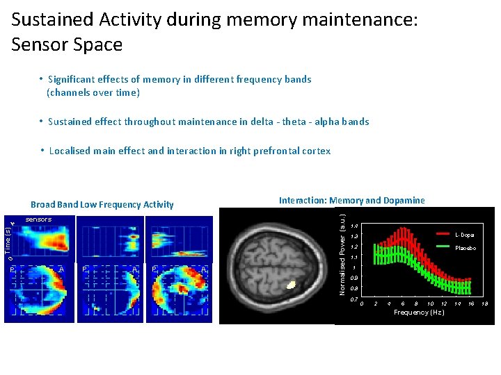 Sustained. Activity during memory maintenance: at sensors during Sensor Space maintenance • Significant effects Sustained. Activity during memory maintenance: at sensors during Sensor Space maintenance • Significant effects