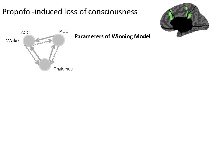 Propofol-induced loss of consciousness ACC PCC Wake Thalamus Parameters of Winning Model Propofol-induced loss of consciousness ACC PCC Wake Thalamus Parameters of Winning Model