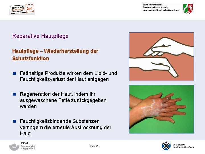 Reparative Hautpflege – Wiederherstellung der Schutzfunktion n Fetthaltige Produkte wirken dem Lipid- und Feuchtigkeitsverlust