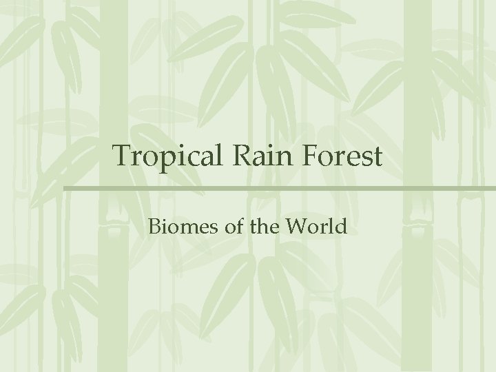 Tropical Rain Forest Biomes of the World 