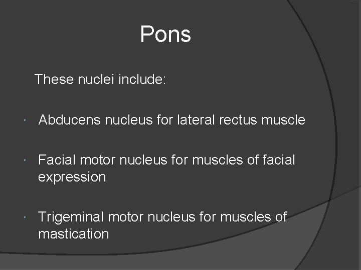 Pons These nuclei include: Abducens nucleus for lateral rectus muscle Facial motor nucleus for