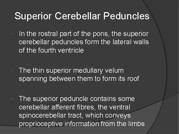 Superior Cerebellar Peduncles In the rostral part of the pons, the superior cerebellar peduncles