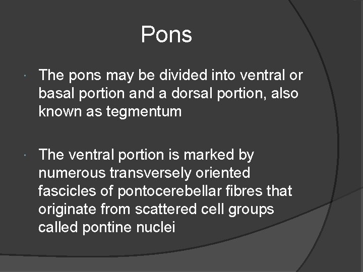 Pons The pons may be divided into ventral or basal portion and a dorsal