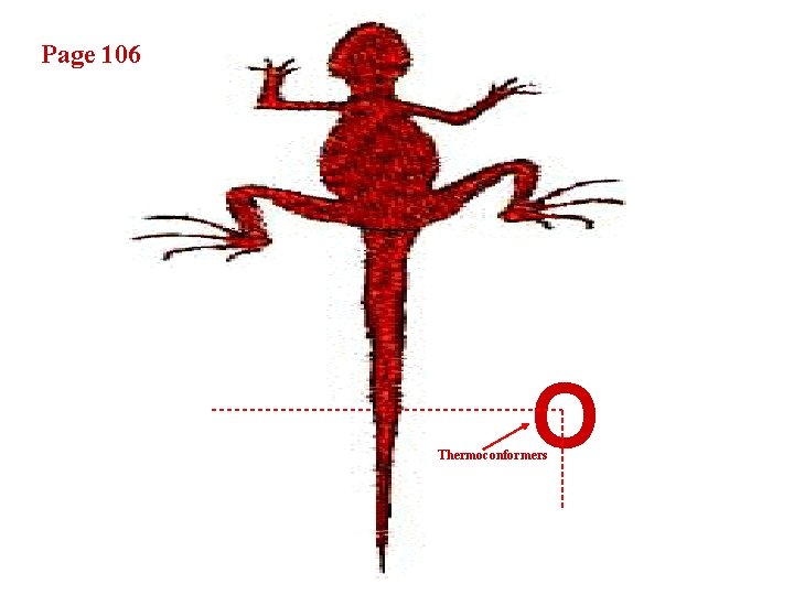 Page 106 O Thermoconformers 