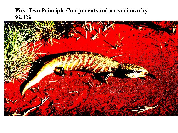 First Two Principle Components reduce variance by 92. 4% 