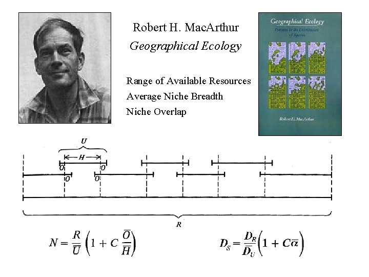 Robert H. Mac. Arthur Geographical Ecology Range of Available Resources Average Niche Breadth Niche