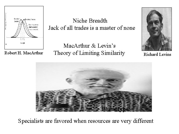 Niche Breadth Jack of all trades is a master of none Robert H. Mac.