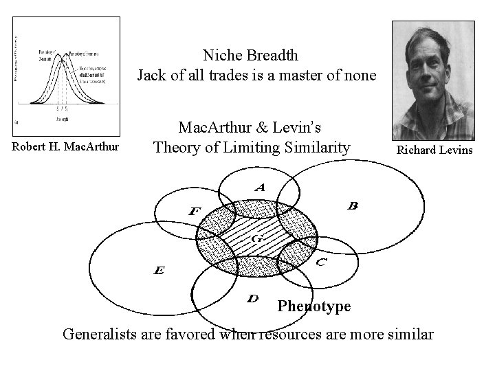 Niche Breadth Jack of all trades is a master of none Robert H. Mac.