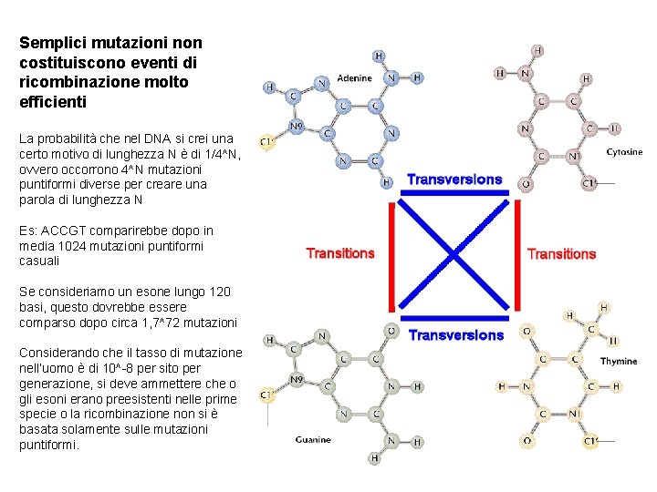 Semplici mutazioni non costituiscono eventi di ricombinazione molto efficienti La probabilità che nel DNA