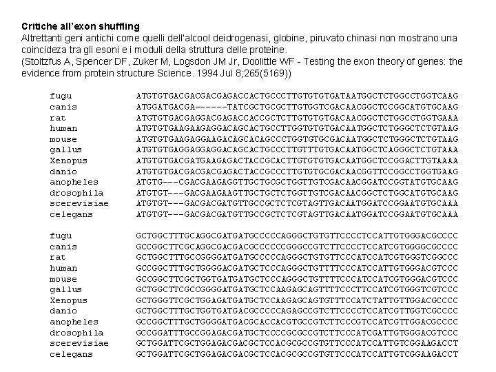 Critiche all’exon shuffling Altrettanti geni antichi come quelli dell’alcool deidrogenasi, globine, piruvato chinasi non