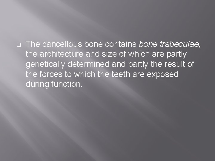  The cancellous bone contains bone trabeculae, the architecture and size of which are