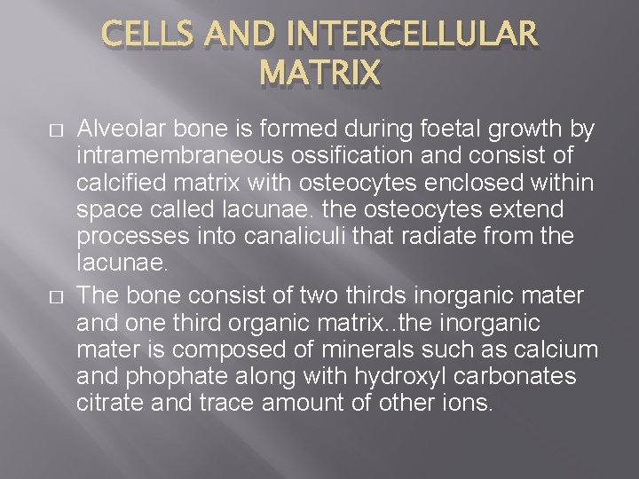 CELLS AND INTERCELLULAR MATRIX � � Alveolar bone is formed during foetal growth by