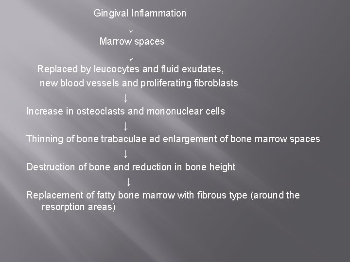 Gingival Inflammation ↓ Marrow spaces ↓ Replaced by leucocytes and fluid exudates, new blood
