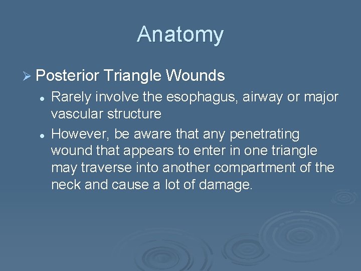 Anatomy Ø Posterior Triangle Wounds l l Rarely involve the esophagus, airway or major